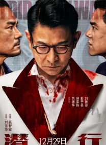 男人插入女人的阴道的视频